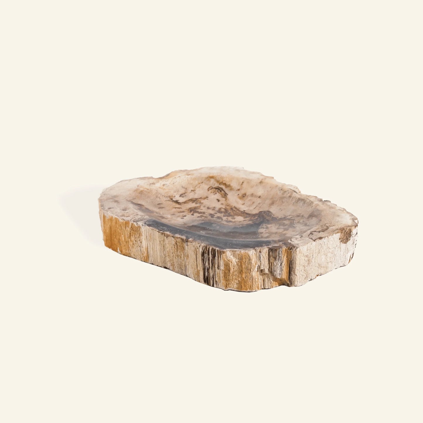 Porte savon en bois pétrifié - CRUSOË