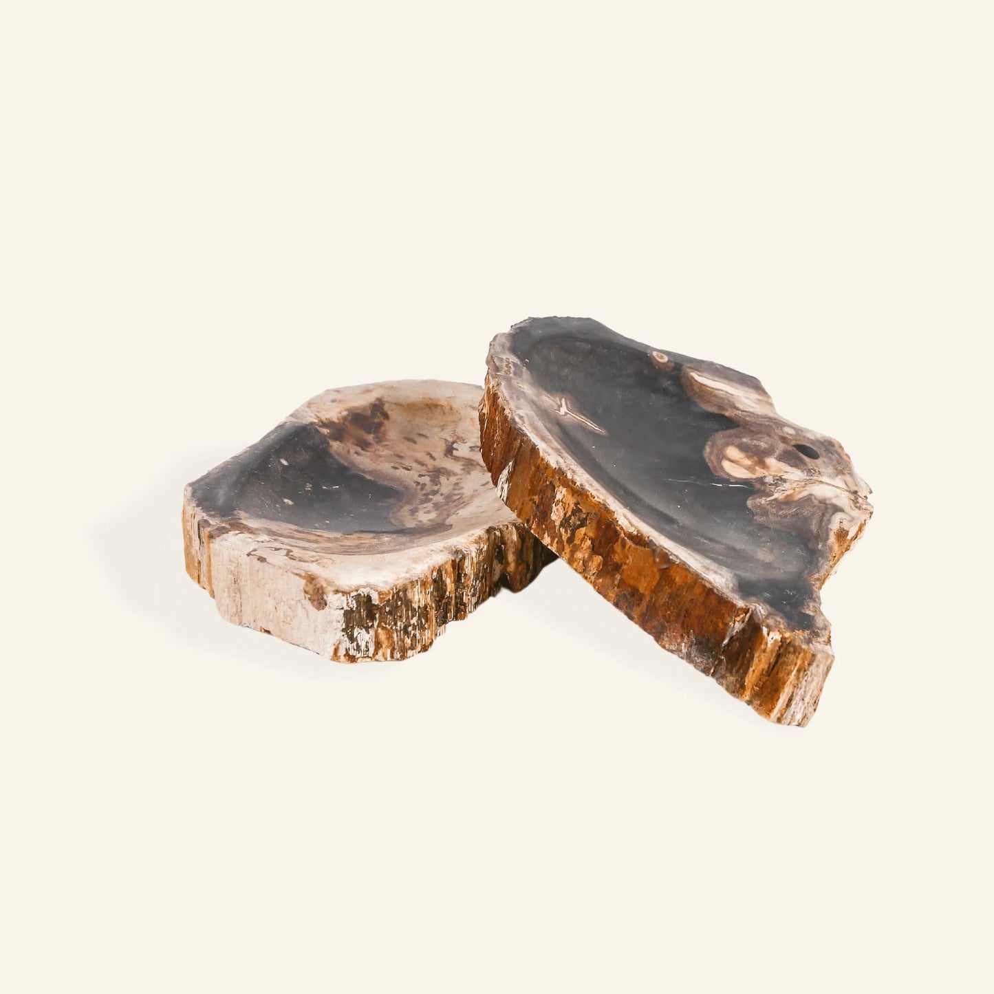Porte savon en bois pétrifié - CRUSOË