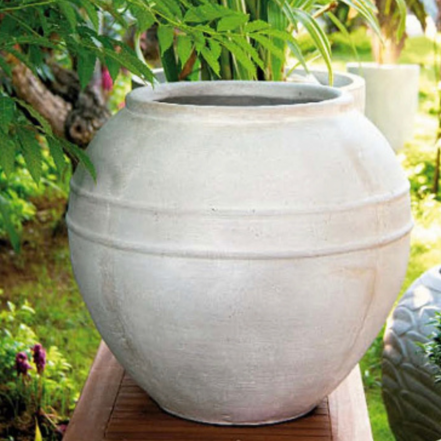 Pot en terracotta Dalya blanc