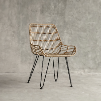 Rattan lounge chair