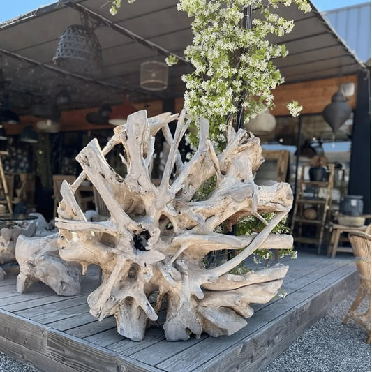 Soleil Sisko en racine de teck